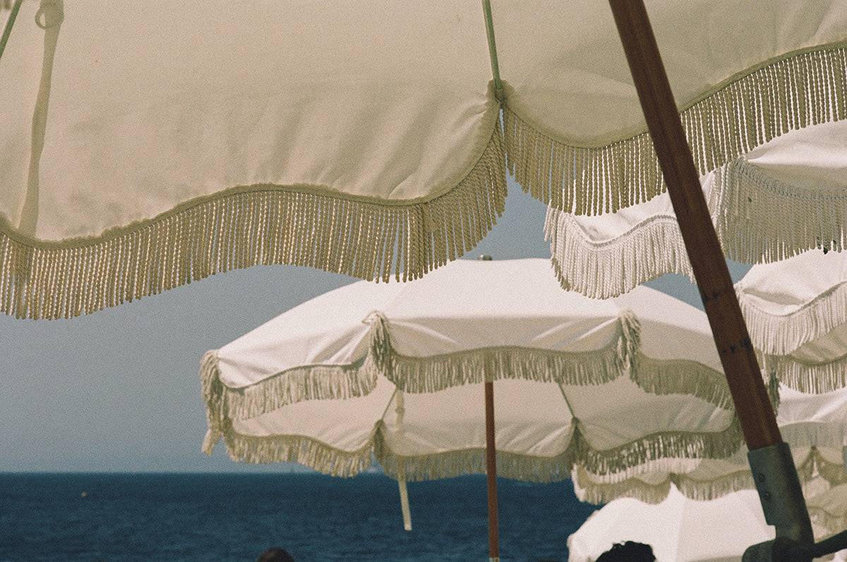Matteua - Journal