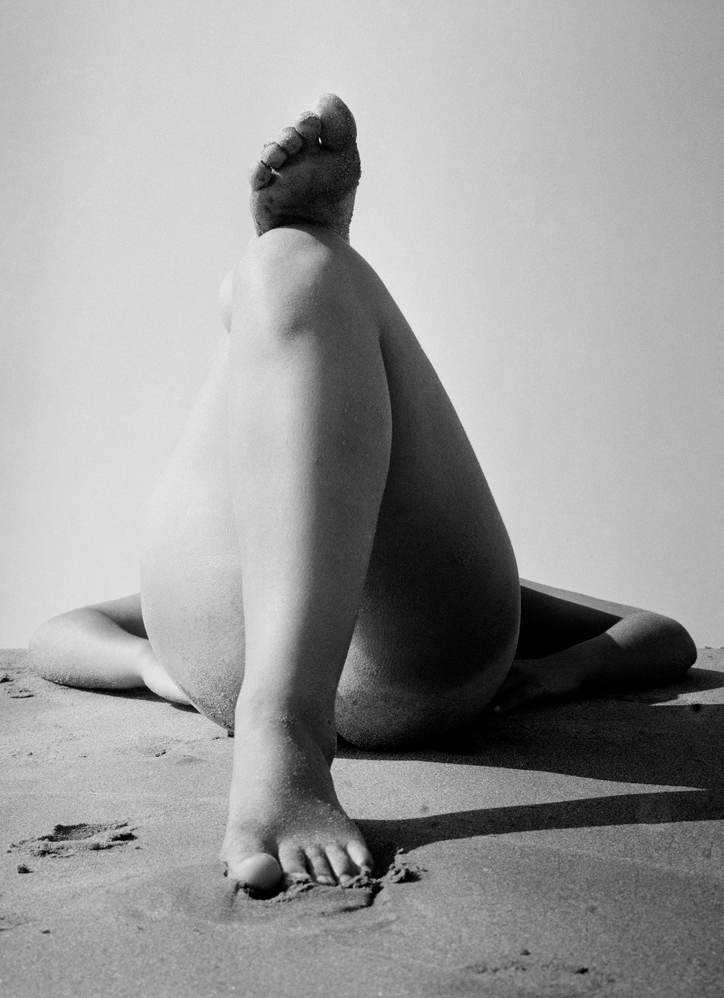 Matteua - Journal
